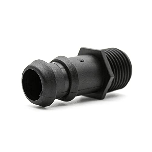 DOJA Barcelona | Union Rosca Macho Riego | 16mm | 1/2